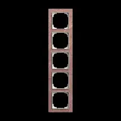 Busch-Jaeger Abdeckrahmen 5-fach 1725-4097