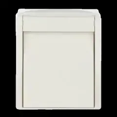 Busch-Jaeger Wipptaster,Schließer 2621 W-54