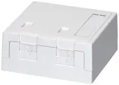 Dätwyler IT Infra Aufputzdose rw 2xKeystone 418037