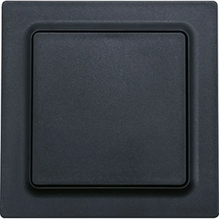 Eltako Wippschalter 30055735 Typ WS55E-am