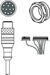 Leuze Verbindungsleitung KB JST-M12A-12P-50