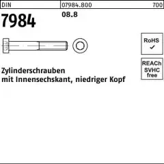 Reyher Zylinderschraube DIN 7984 Innen-6kt M10x 100 8.8 100 Stück