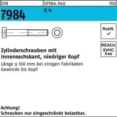 Reyher Zylinderschraube DIN 7984 Innen-6kt M10x 30 A 4 100 Stück