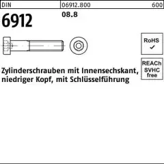Zylinderschraube DIN 6912 Innen-6kt M10x 30 8.8 200 Stück